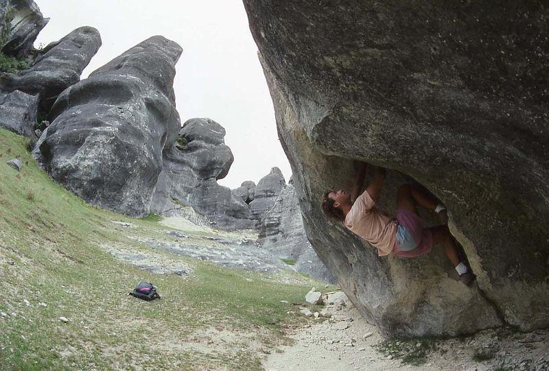 WT 0200 034-19 New Zealand.jpg